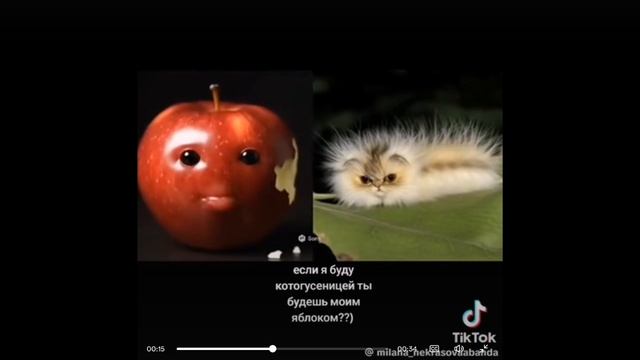 Другие котыгусеницы смотреть онлайн