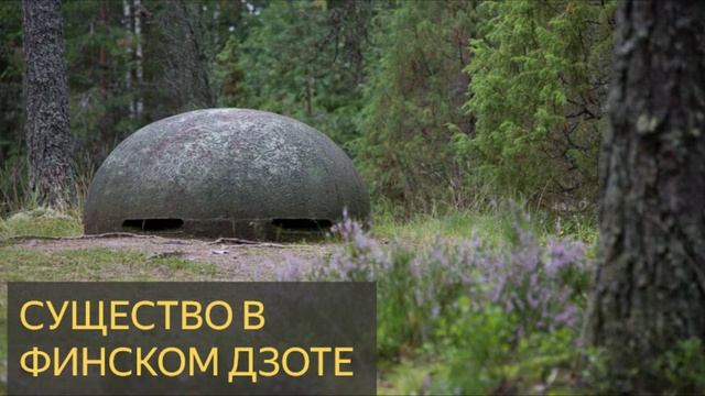 Существо в финском ДЗОТе (Мистическая история) смотреть онлайн
