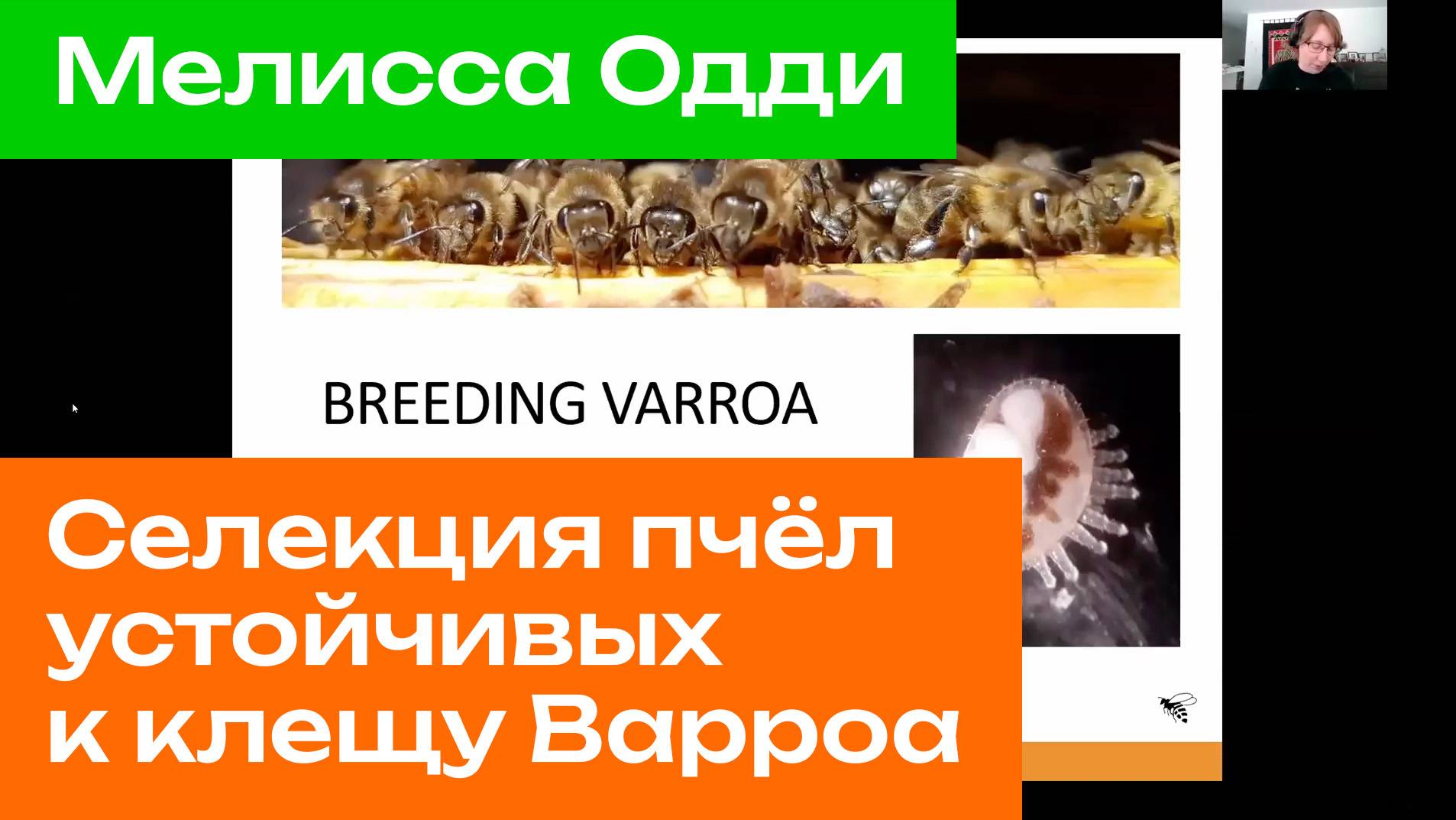 Селекция устойчивости к клещу Варроа: данные и выводы пятилетней программы