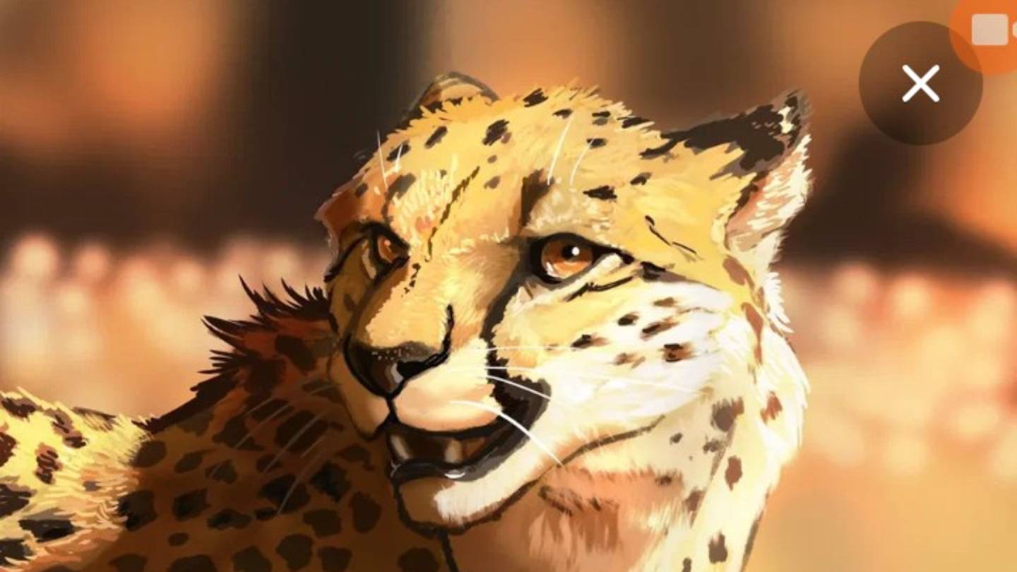 2 часть фильма ,, чёрное и белое"вилд крафт