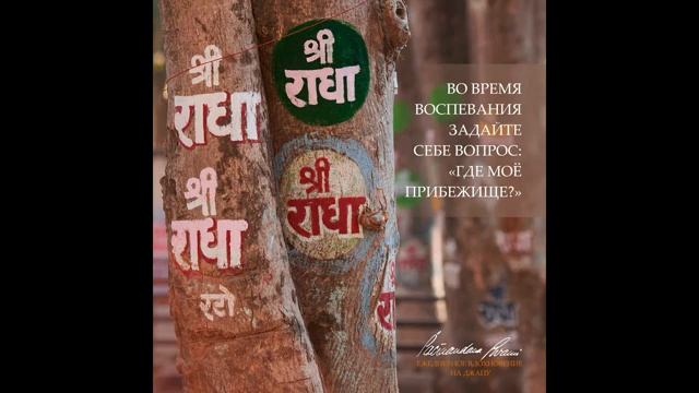 Кришне дорог каждый кто воспевает Его Святое Имя. Вдохновение на джапу от Е.С.Шачинандана Свами