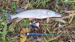 Десна у мостов. Ультралайт 3 ноября 2025 года