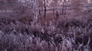 Русская Зима! Исполняет Татьяна Куртукова.