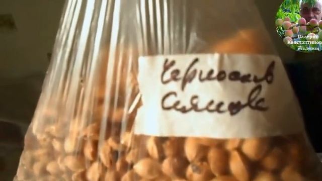 6. Видеоуроки В. Железова №5. ``Семена золотой запас России!`` смотреть онлайн