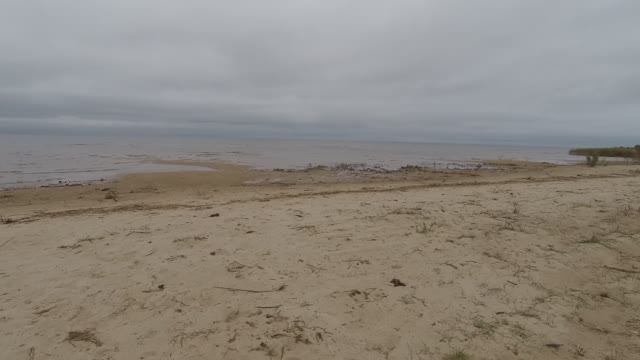 Приехал на участок спустя 2 месяца СПИЦИНО 06.10.25