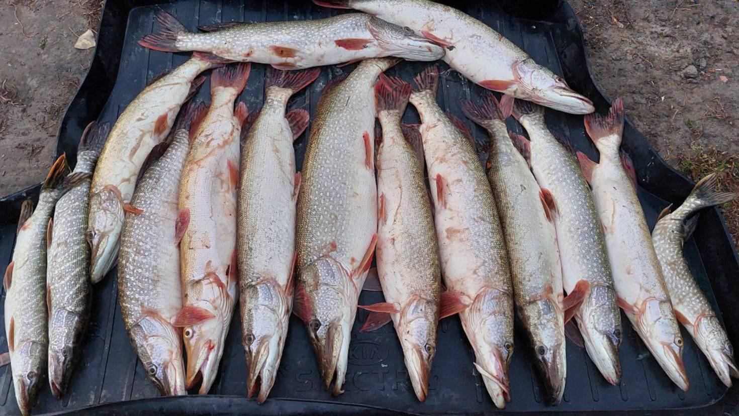 Ловим щуку и тролингом и в заброс!!!