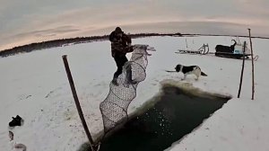 Зимняя рыбалка на фитили на севере. 2 дня проверки. Деревенская жизнь.