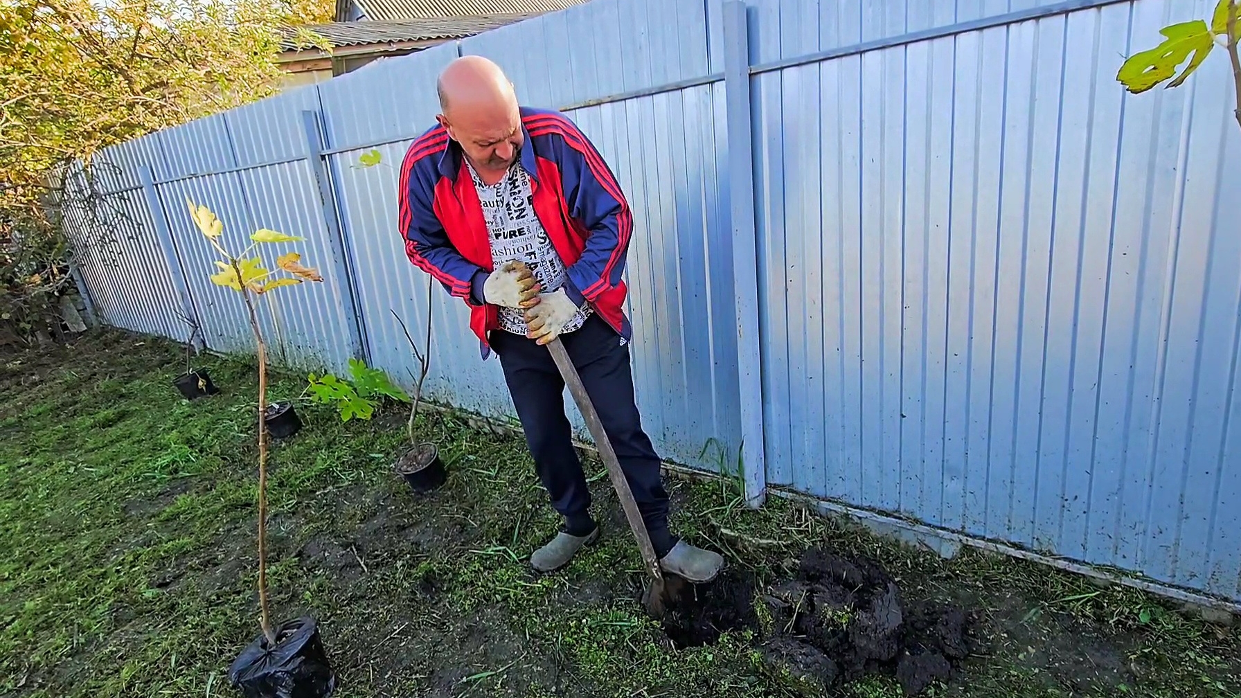 ✨️Завтрак от Анатольевича✨️Кумуля зарядила работой на весь день!🤗✨️ смотреть онлайн