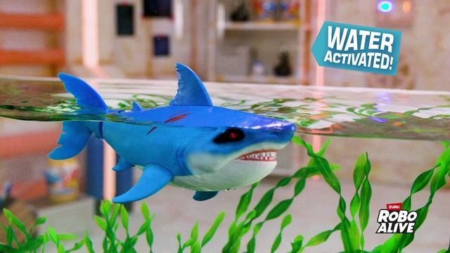 RBA_Deep Sea Monster_Boys 4-12_16;9_20s_Brand_H264_HIRES_YOUTUBE 71155