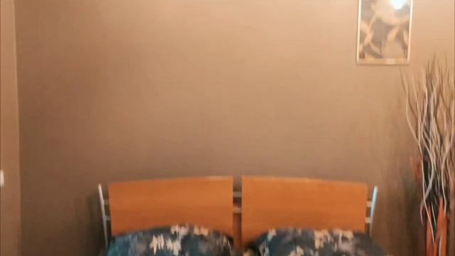 Аренда 2-х комнатной квартиры в Центральном районе смотреть онлайн