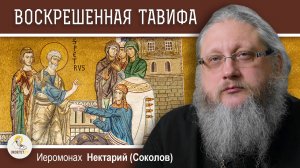 ПРАВЕДНАЯ ТАВИФА И СВЯТЫНИ ЯФФЫ. Иеромонах Нектарий (Соколов)