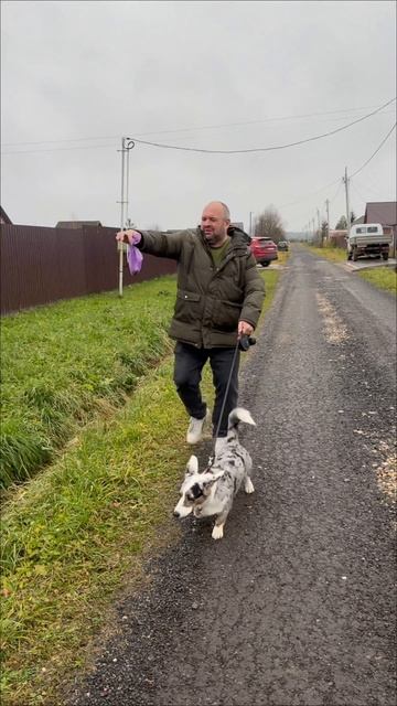 А вы убираете за своей собакой? смотреть онлайн