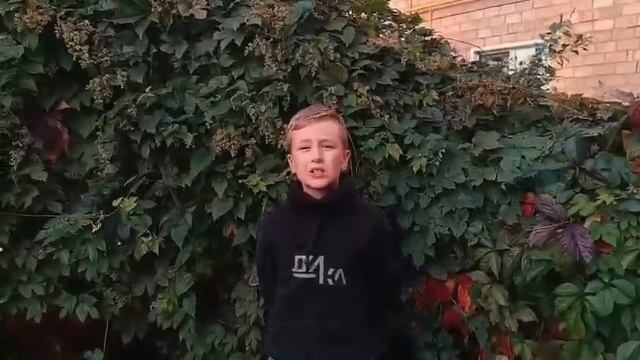 Бабушкины сказки. Шмаков Сергей, 1Г класс, МОУ СОШ №18 им. Менчинского, г. Павловский Посад