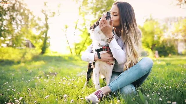 Mr Salama & Modern Disco Boys & Imazee - Feel Your Love (Retro Songs) смотреть онлайн