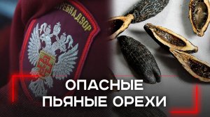 Опасные пьяные орехи: как депутаты планируют остановить тренд среди подростков?