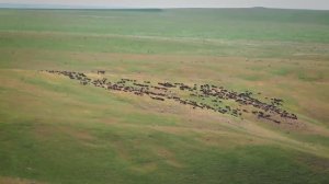 К соседям с любовью: казахи (путешествие 1)