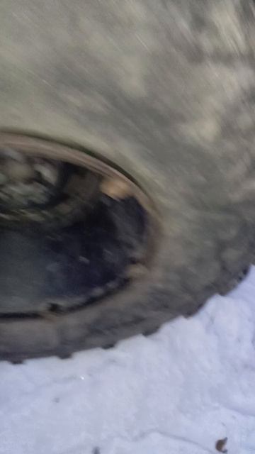 Асиновский каракат