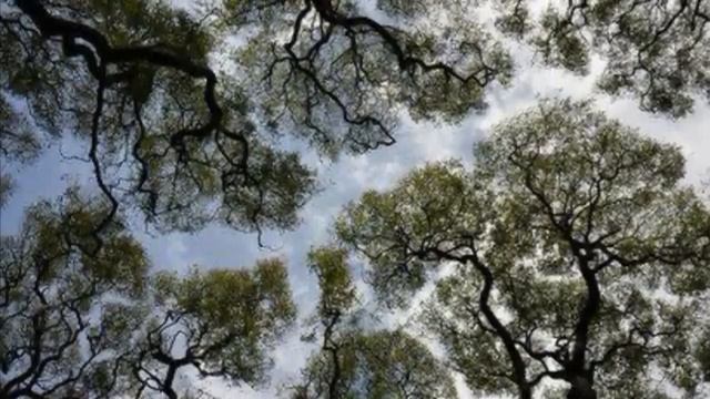 ЛЮДИ ГОВОРЯТ…РИТУАЛЫ МЕНЯЮТ ЖИЗНЬ… смотреть онлайн