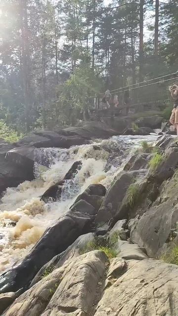 Это было самое необычное лето в нашей жизни... смотреть онлайн