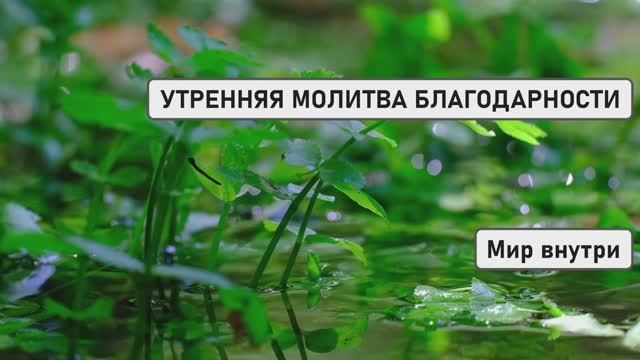 УТРЕННЯЯ МОЛИТВА БЛАГОДАРНОСТИ | Начни Новый День с Чувством Благодарности и Света! смотреть онлайн