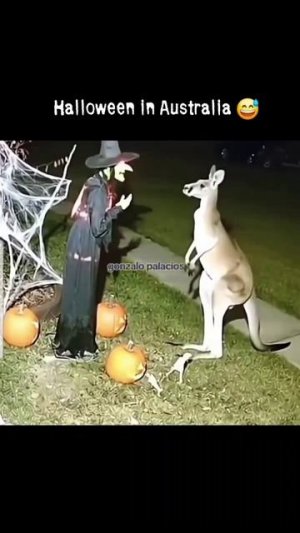 Хэллоуин в Австралии