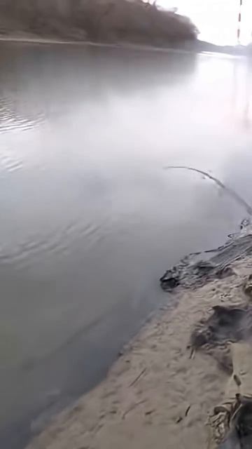Вот тебе и судак #рыбалка #спиннинг #shorts смотреть онлайн
