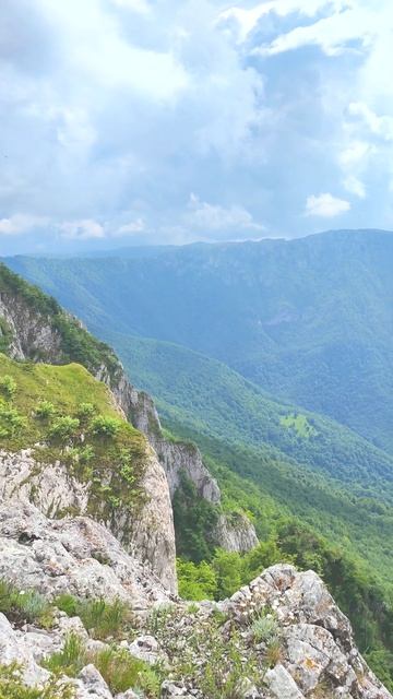 from Rzhenac to Suva Planina смотреть онлайн