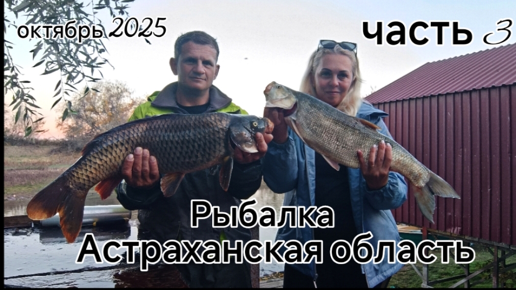 Рыбалка в Астраханской области. октябрь 2025 часть3 смотреть онлайн