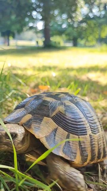 met while running in Chair park смотреть онлайн