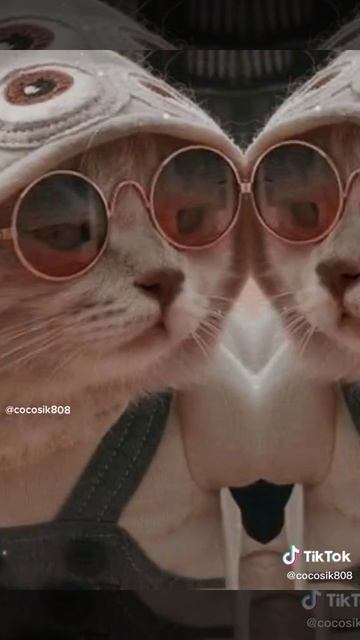 котики эдит смотреть онлайн