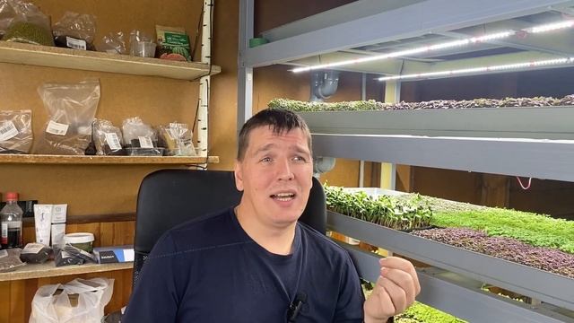 Заработок 100к рублей ДОМА на микрозелени! В маленьком городе! смотреть онлайн