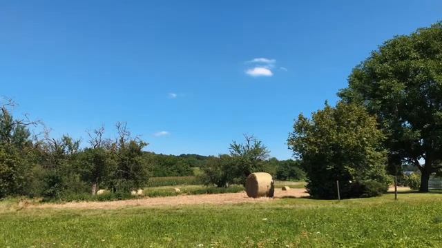 гросбетлинген германия / grossbetlingen germany смотреть онлайн