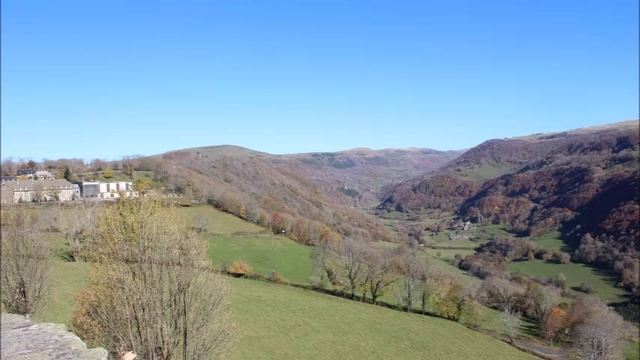 Autumn Leaves In Auvergne