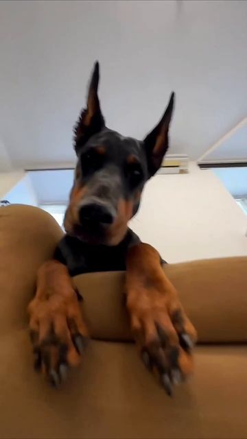 Ам ам ам смотреть онлайн