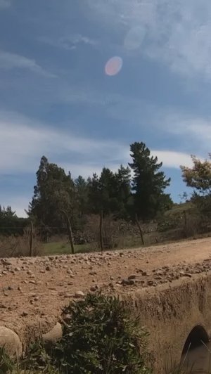 WRC Rally #automobile #wrc #4x4 #motosport #autosport