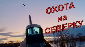 В краю лебедей: Охота на пролетную утку