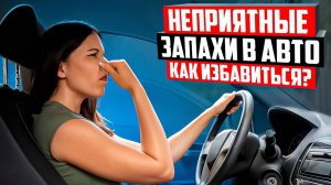 Как избавиться от неприятных запахов в автомобиле? Действующие способы.