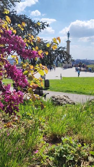 Белградская Крепость Калемегдан. Beogradska tvrđava exploring Serbia, street walk, Belgrad 4k смотреть онлайн