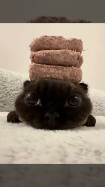 2часа и 22 минуты до др смотреть онлайн