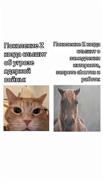 3 Мировая, Человек Паук, Тоха @Буква_А |Свежие Мемы из TikTok в Shorts! #nikkat #мем смотреть онлайн