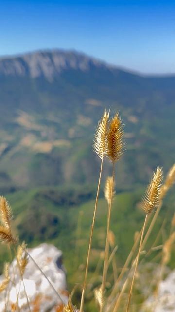 Дивна Горица и Подравка (Сербия) #hiking #поход #путешествия #путешествияпоевропе #лучшиеместа смотреть онлайн