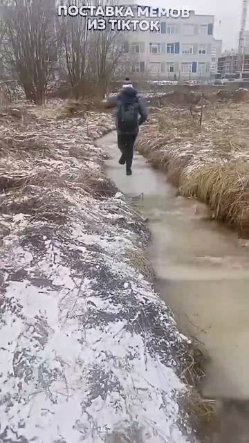 Ограбление столовой, Сова Алексей, Побег |Свежие Мемы из TikTok в Shorts! #nikkat #мем #новости смотреть онлайн