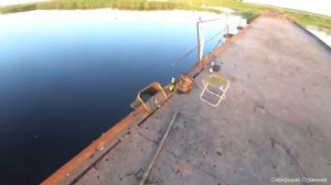 Поехали с сыном на старую переправу и были сильно удивлены.....Они выпрыгивали как дельфины.