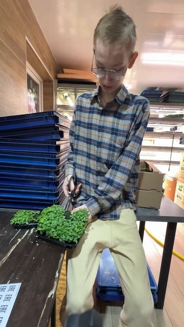 Колхозный ЛАЙФХАК! ☘️ смотреть онлайн