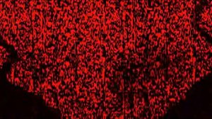 Gamecube Startup Hyper Effects 6