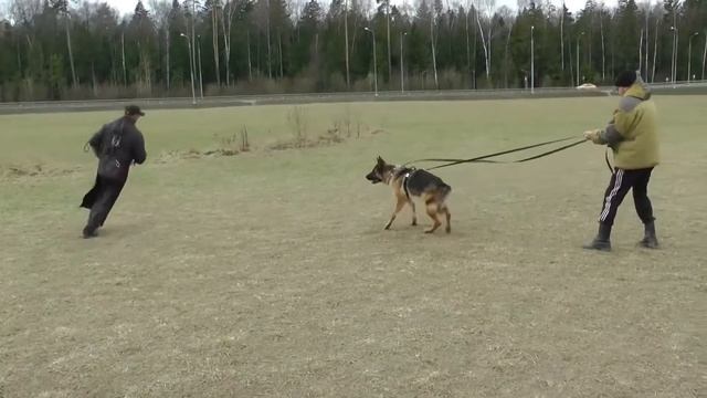 Тренировка по защитному разделу