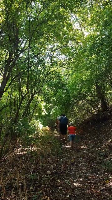 Niševacka klisura (stari grad Svrljig) (Niševac gorge) смотреть онлайн