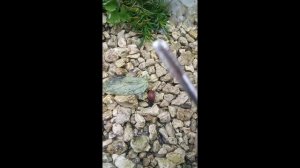 Как открутить трёхгранный шуруп