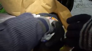 Как_я_зарабатываю_лазая_по_мусоркам_Питера_Dumpster_Diving_RUSSIA21