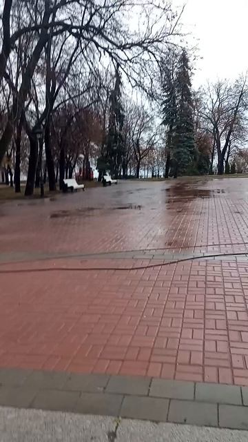 Митинг на площади в честь годовщины ВОСР